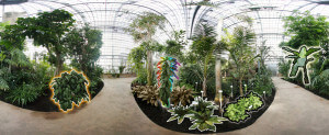 360° Panorama vom Tropenhaus des Botanischen Garten Berlins (mit verschiedenen Hervorhebungen)